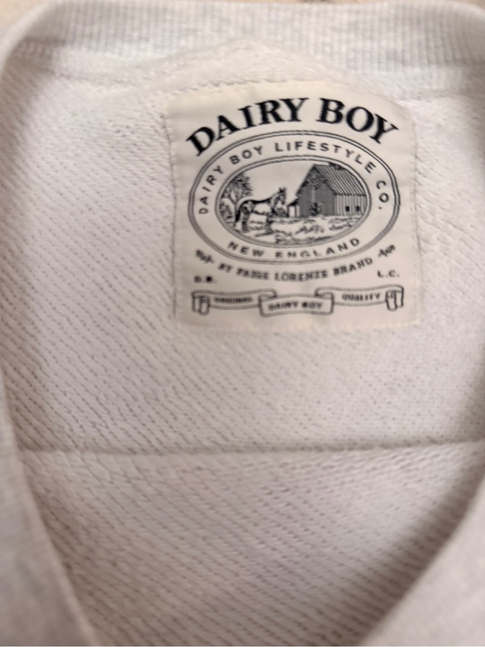 Rare Dairy Boy Courtside Spectator Crewneck (see note ) - Picture 4 of 7